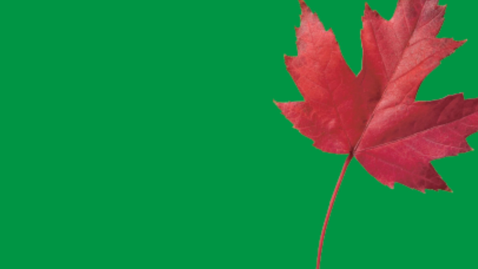 7 Certificazione ISO 14001 – Sistema di Gestione Ambientale